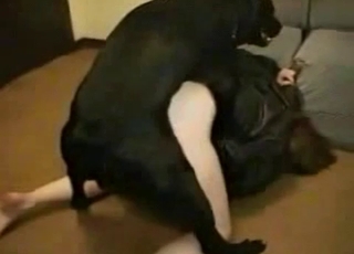 Horny young doggy is banging so freaking fast