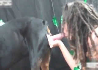 Doggy got satisfied by a sexy zoophile hooker