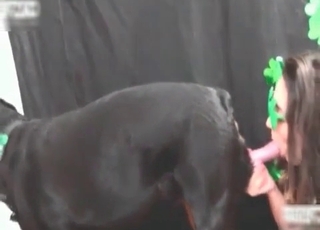 Doggy got satisfied by a sexy zoophile hooker