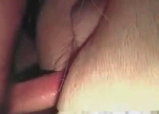 Dude is having doggystyle sex with a farm animal