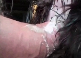 Rear end is getting an amazing anal internal cumshot by a male zoophile