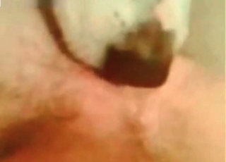 Zoophile receives a assjob from a really horny doggo