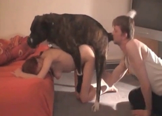 Doggy and red-haired woman in bestiality XXX action