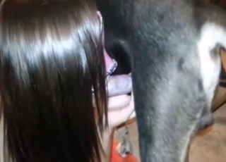 Sweet dog sex activity with a girl in fishnet