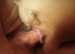 Sexy owner and a steamy rear end are both enjoying nasty sex