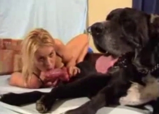 Filthy dogs fucking kinky humans