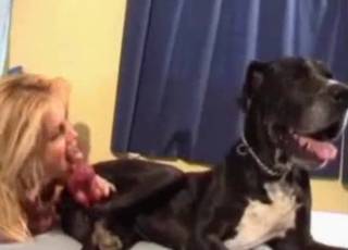 Filthy dogs fucking kinky humans