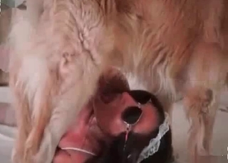 Xxx zoo porno with a unshaved rear end