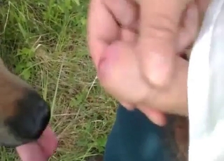 A doggy gets some nice and warm piss in its mouth