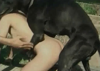 Immense doggy plowed an innocent woman