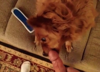 Rear end is attempting to blow me