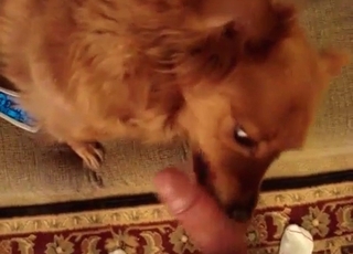 Rear end is attempting to blow me