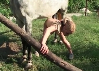 Hung horse fucking doggy fashion