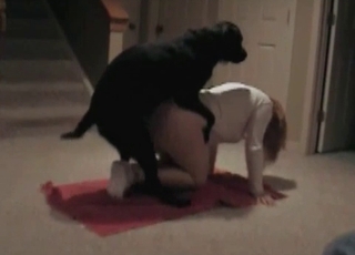 Muddy black doggy is enjoying porn