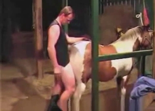 Plowing white horse ass in doggy fashion pose