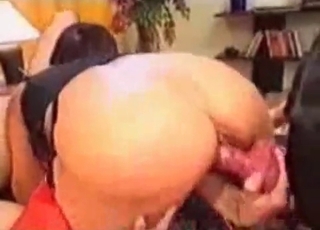 From the rear fuck-fest with a nasty dog