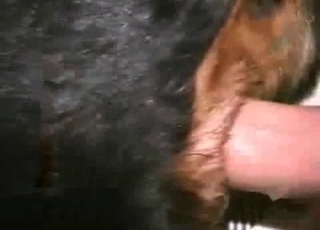 Screwing my own rear end in sideways pose