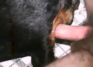 Screwing my own rear end in sideways pose