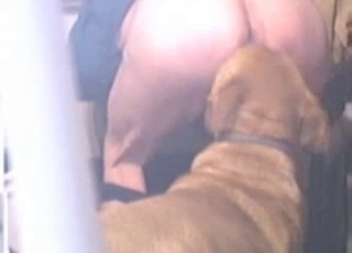 Rear end sniffing and fucking his round ass