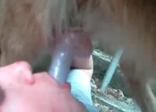 Spectacular babe throated her doggy in close-up