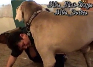 Jaw-dropping doggy fucking her moist cunt