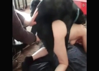 Babe and doggy having repugnant fuckfest