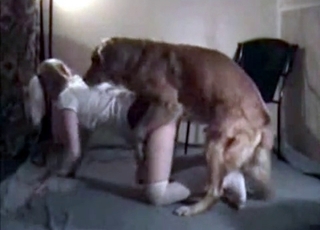 Rear end fashion fucking with a hot canine