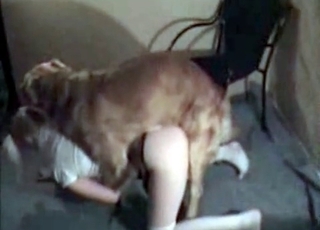 Rear end fashion fucking with a hot canine