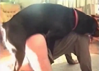 Highly fast and hard sex with a black rear end