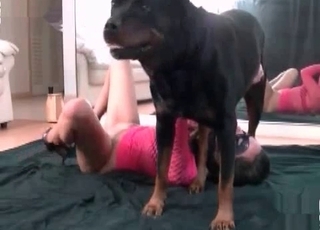 Dog wants to get in on the incredible zoophilia entertainment