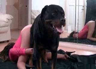 Dog wants to get in on the incredible zoophilia entertainment