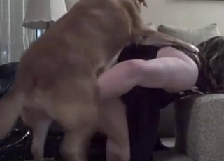 Nymph has an awesome bestiality fuckfest sesh with a dog