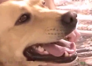 This ultra-cute mutt wants to have all sorts of kinky pleasures