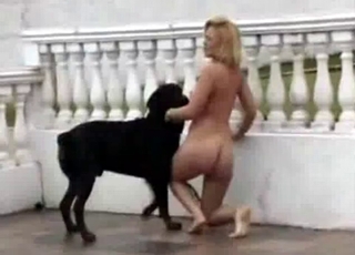 Outdoor sex with a nice black dog