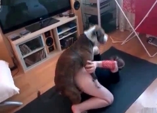 Dog fucks this zoophile in a fast way