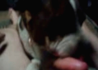 Spunky blowjob by a mutt