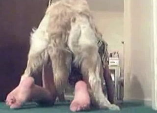 Fast and passionate sex with a dog