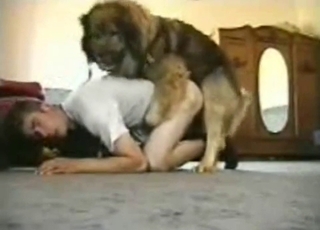 On all fours, waiting for dog's pipe