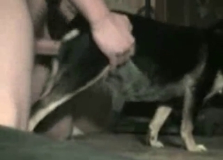 Dude fucking his obedient dog here