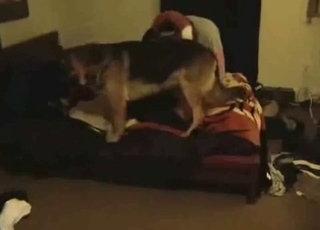 Mutt enjoy hardcore fucking on webcam