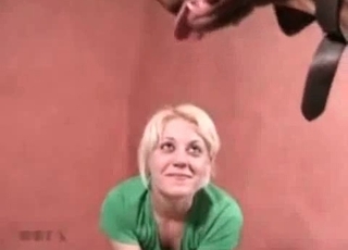 Playing with my instructed dog in apartment