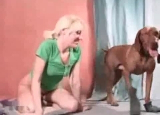 Playing with my instructed dog in apartment