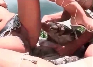 Two Latina girls fucking a dog