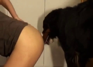 Very hot mutt seduction video here