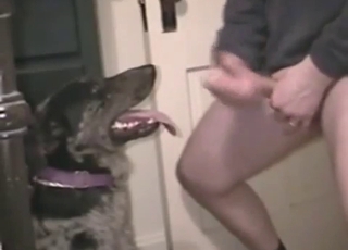 Dude wants to facialize his dog