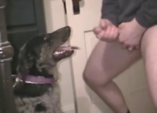 Dude wants to facialize his dog