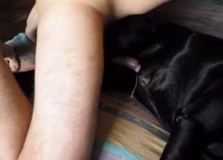 That black dog is the sluttiest