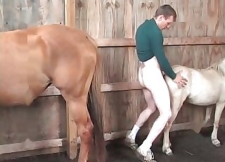 Fucking amazing pony in doggy-style pose