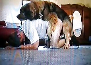 VHS video displaying a dude boinking a dog
