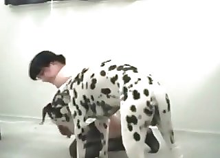 Greatest inexperienced bestiality with a tastey Dalmatian
